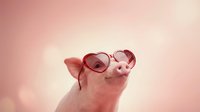 Cute pink pig wearing red heart-shaped sunglasses on soft pastel background for romantic Valentine's Day designs and love-themed projects.