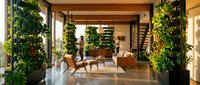 Modern eco-friendly living room with vertical gardens, natural wood furniture and abundant greenery creating sustainable biophilic interior design space.
