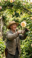 Senior male gardener of Caucasian ethnicity tending to blooming roses on garden arbor, wearing straw hat and work clothes, smiling while touching yellow flower petals in lush green setting.