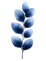 Elegant watercolor branch with navy blue leaves on white isolated background, featuring delicate veins and gradient coloring. Suitable for botanical wall art and stationery design.