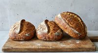 Freshly baked artisan sourdough bread loaves with golden crusts on rustic wooden cutting board against textured concrete background for bakery marketing.