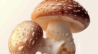 Fresh amanita mushrooms with water drops on brown caps against light background, macro photography showing detailed texture and natural patterns.