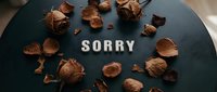 Dried roses and petals arranged around the word Sorry on a dark surface, evoking apology, regret, and emotional themes for greeting cards.