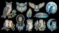 Owl collection featuring various species and decorative elements isolated on transparent background, ready for t-shirt design, clipart, stickers, sublimation and print-on-demand projects.