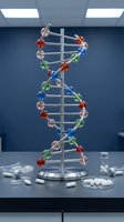 Colorful DNA double helix model with molecular structure in modern laboratory setting for genetics research and biotechnology education.