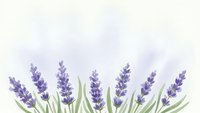 Lavender flowers with green stems on soft purple watercolor background for aromatherapy and wellness designs.