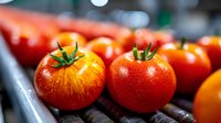 Fresh ripe red tomatoes with water drops on dark surface, selective focus on foreground. Natural organic produce at farmers market or grocery store.