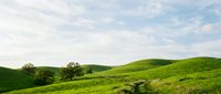 Rolling green hills with scattered trees under a partly cloudy sky, suitable for landscape, nature, and environmental design projects.