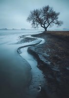 Moody winter landscape with bare tree silhouette on curved riverbank during blue hour, reflecting mysterious atmosphere in still water at dusk.