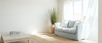Bright minimalist living room with gray upholstered armchair, wooden side table, potted ornamental grass, and sheer curtains filtering natural light through large window.