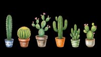 Assorted cacti and succulents in decorative pots isolated on transparent background, ready for t-shirt designs, clipart, stickers, print-on-demand products, and sublimation projects.