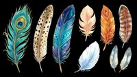 Feather collection featuring peacock, spotted, blue, white, orange and brown plumes isolated on transparent background. Ready for t-shirt design, clipart, stickers, sublimation and print-on-demand projects.