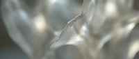 Close-up of translucent ice crystals with soft light creating a frozen, crystalline texture. Suitable for winter backgrounds and design projects.