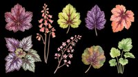 Watercolor flowers and leaves in purple, pink, yellow, and green tones isolated on transparent background. Ready for t-shirt design, clipart, stickers, sublimation, print-on-demand products and digital crafts.