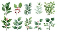 Watercolor botanical set with green leaves, holly branches, and red berries on white background. Isolated elements for winter holiday designs.