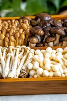 Fresh assorted mushroom varieties including enoki, shiitake, and white button displayed in wooden compartment box, showcasing different textures and colors.