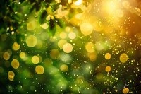 Magical glowing bokeh lights on dark green background with golden sparkles and blurred circles creating dreamy atmospheric effect. Perfect for festive designs.
