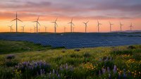 Renewable energy landscape with wind turbines and solar panels at sunset. Clean power generation facility with wildflowers in foreground during golden hour.