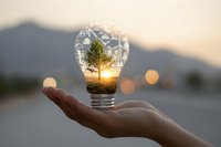 Hand holding light bulb with miniature tree inside, illuminated by sunset against mountain backdrop, symbolizing environmental conservation and renewable energy ideas.