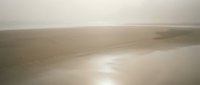 Misty coastal landscape with soft golden light reflecting on wet sand during foggy weather conditions creating serene atmospheric mood for relaxation concepts.