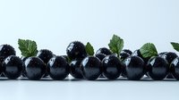 Fresh ripe black currant berries with green leaves arranged in line on white background, macro shot with water drops showing juicy texture.
