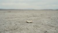 Abandoned toy boat resting on barren desert sand with overcast sky, symbolizing loss, isolation, and desolation for conceptual and editorial projects.