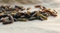 Scattered sunflower seeds on neutral linen fabric surface, suitable for food photography, culinary content, healthy snacking, nutrition articles, and organic product marketing.