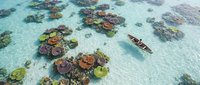 Aerial view of vibrant coral reef formations in crystal clear turquoise waters with traditional wooden boat, showcasing marine biodiversity and tropical paradise.