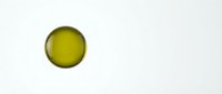 Golden yellow olive oil drop on white background isolated for culinary design and cooking concepts.