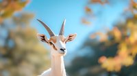 Elegant gazelle with long curved horns against blurred autumn background and blue sky, showcasing wildlife in natural habitat. Soft focus portrait captures serene expression.