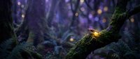 Enchanted forest scene with glowing firefly on moss-covered tree branch creating magical atmosphere with bokeh lights and mystical woodland ambiance.