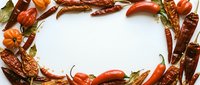 Colorful dried chili peppers and spices arranged in decorative frame border on white background for culinary design projects and cooking themes.