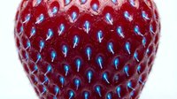 Macro shot of fresh strawberry with detailed seeds and glossy red surface, isolated on white background for food photography, culinary design, and healthy eating content.