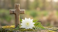 Wooden cross with white chrysanthemum flower on moss-covered log in peaceful natural setting for memorial, funeral, or spiritual remembrance concepts.