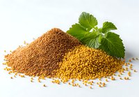 Red and yellow mustard seed piles with fresh green mint leaves on white background, used for cooking spices and natural food photography.