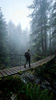 Hiker with backpack standing on wooden bridge crossing stream in misty coniferous forest with tall evergreen trees and lush vegetation, adventure and nature exploration.