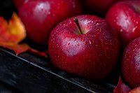 Fresh red apples with water drops on dark wooden surface. Macro shot of ripe fruit with autumn maple leaves showing seasonal harvest and natural freshness.