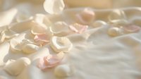 Delicate rose petals scattered on soft white fabric creating romantic dreamy atmosphere for wedding celebration or spa relaxation background.