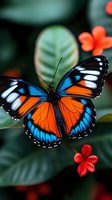 Vibrant butterfly with orange and blue wings perched among tropical flowers and lush green foliage in natural garden setting for nature photography.