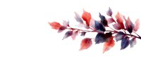 Delicate watercolor branch with coral pink and deep purple leaves on white background, artistic botanical illustration for wall art and stationery design.