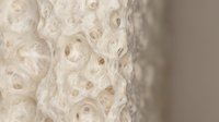 Natural loofah sponge texture with organic holes and fibers for spa wellness bathroom skincare exfoliation beauty treatment sustainable eco-friendly products.