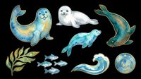 Seals, sea lions, and marine mammals isolated on transparent background. Ready for clipart, t-shirt design, stickers, print-on-demand, and sublimation projects.