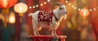 White goat wearing traditional red embroidered vest stands on wooden platform with warm bokeh lights and lanterns creating festive atmosphere for celebrations.