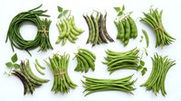 Long beans fresh organic vegetables isolated on white background, suitable for cooking, nutrition, and food design projects.