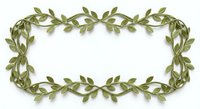 Elegant green leaf vine border frame isolated on transparent background for wedding invitations, botanical designs, and decorative elements.