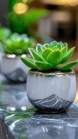 Green succulent plant in modern marble-effect ceramic pot with bokeh background lighting creates serene home decor atmosphere.