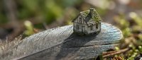 Miniature wooden house model sitting on weathered wood plank in natural outdoor setting with blurred green foliage background for real estate concepts.