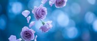 Purple roses floating against soft blue bokeh background with dreamy romantic atmosphere for wedding invitations and floral designs.