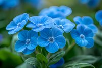 Delicate blue veronica flowers in soft focus create a dreamy spring garden scene, perfect for nature photography, greeting cards, and romantic floral backgrounds.