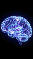 Glowing neon brain with electric neural pathways and synaptic connections on dark background for medical and neuroscience concepts.
